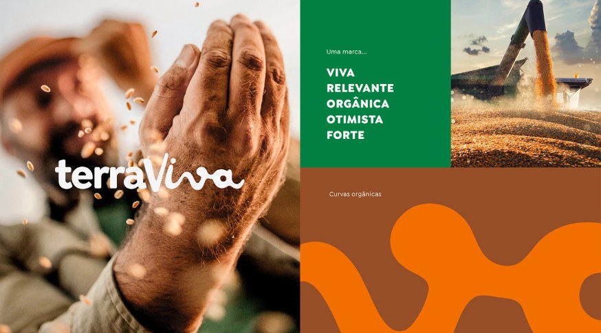 Logotipo TerraViva sobre fotografia de mãos com grãos e painel de curvas orgânicas